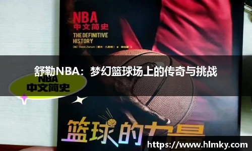 舒勒NBA：梦幻篮球场上的传奇与挑战